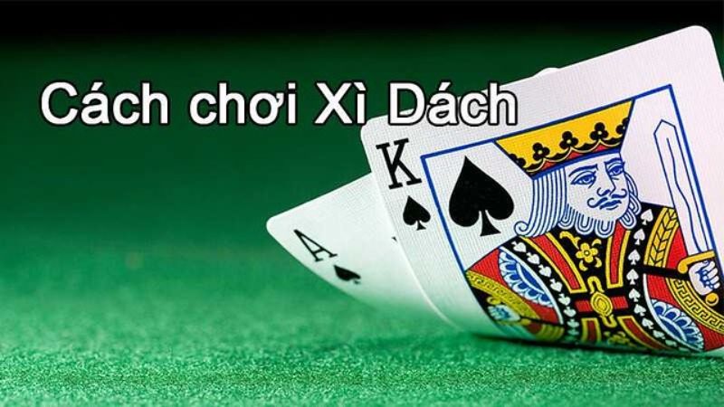 Nắm vững cách chơi Xì Dách để tăng tỷ lệ chiến thắng và tránh sai lầm
